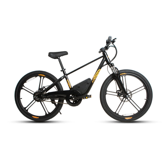 EUNORAU eKids24 24V 250W Kids Electric Bike 3 Speeds Ages 8 Plus