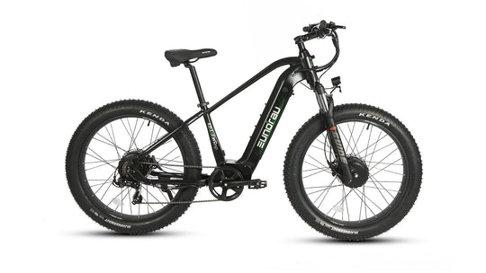 EUNORAU Fat-AWD 2.0 48V Dual 500W Motor Fat Tire eBike 80mi LG
