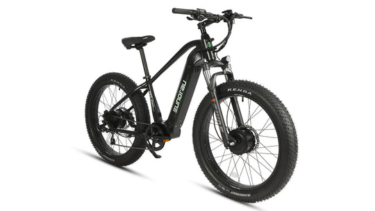 EUNORAU Fat-AWD 2.0 48V Dual 500W Motor Fat Tire eBike 80mi LG